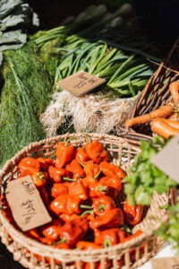 Stalls and visitors at Megalong Valley Rural Market with local crafts, produce and live music. Photo by Assemble Photography.