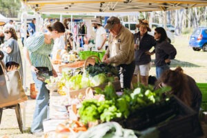 Stalls and visitors at Megalong Valley Rural Market with local crafts, produce and live music. Photo by Assemble Photography.