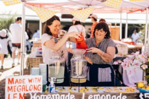 Stalls and visitors at Megalong Valley Rural Market with local crafts, produce and live music. Photo by Assemble Photography.